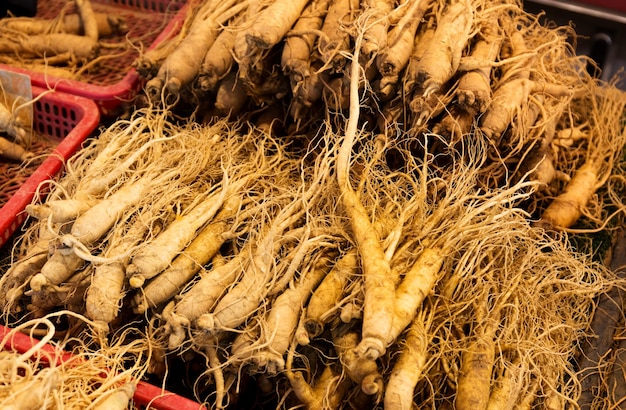 Ginseng fresco nel mercato alimentare