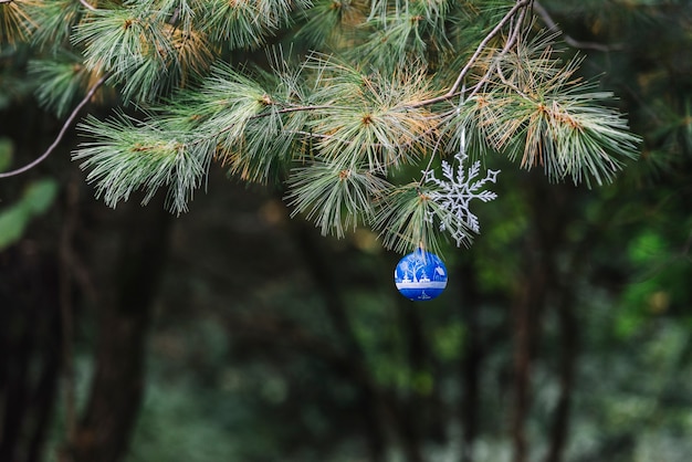 Giocattoli di Natale appeso sul ramoscello di conifere nella foresta