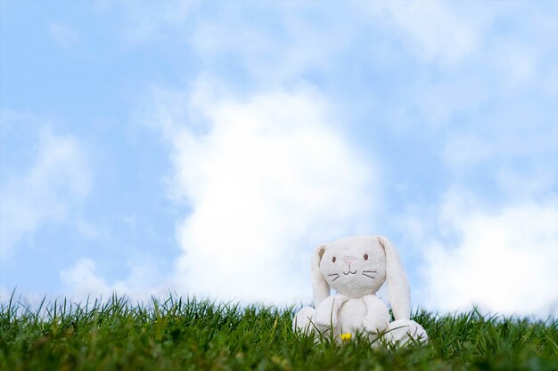 Giocattolo sveglio del coniglietto di pasqua che si siede da solo sui campi di erba di primavera in una giornata di sole
