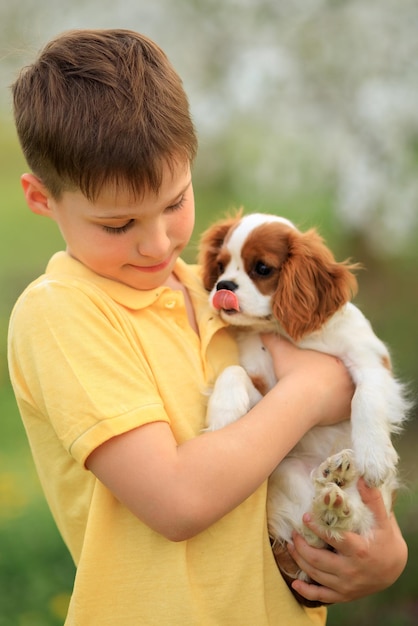 Giochi con un animale domestico sul ragazzo di strada che cammina e si diverte con il suo cucciolo di spaniel