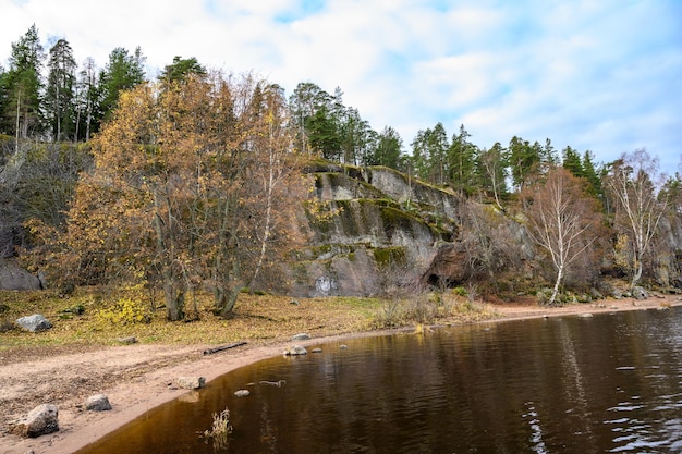 Giornata autunnale Erba di paglia Alberi e baia Baia di protezione Golfo di Finlandia Vyborg