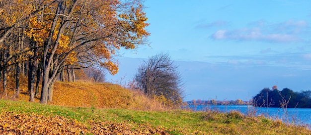 Giornata autunnale nei boschi in riva al fiume in tempo soleggiato. Paesaggio autunnale