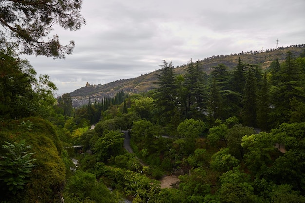 Giornata di pioggia nel giardino botanico di Tbilisi Tbilisi Georgia