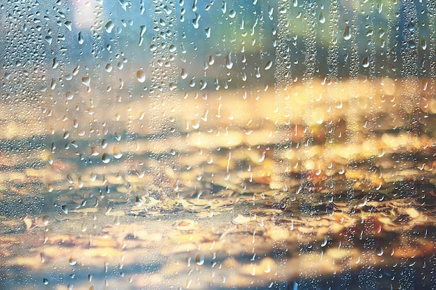 giornata di primavera nel parco / vista del paesaggio primaverile nel parco attraverso la finestra, gocce di pioggia sul vetro