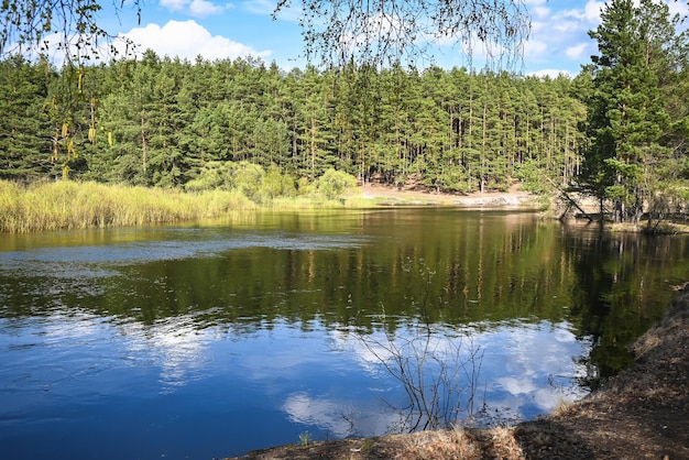 Giornata di primavera sul fiume della foresta