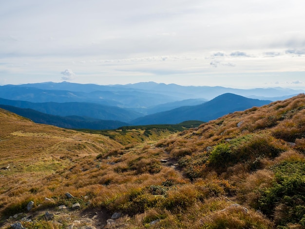 Giornata di sole autunnale nelle montagne dei Carpazi ucraini Pittoresco paesaggio delle montagne vista panoramica della cresta di Chornogora Vista dal più alto monte dei Carpazi ucraini Hoverla Ucraina