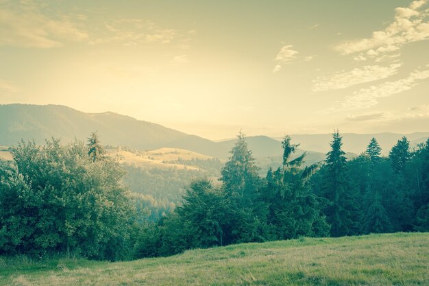 Giornata di sole è in stile vintage paesaggio di montagna dai toni Carpazi Ucraina Europa