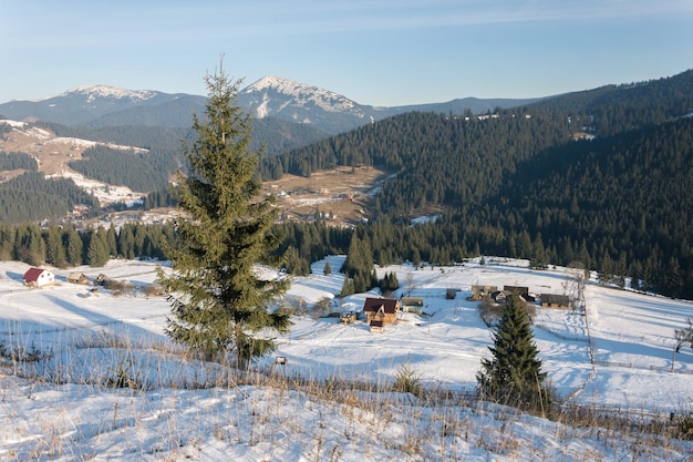 Giornata di sole nelle montagne dei Carpazi innevate in inverno