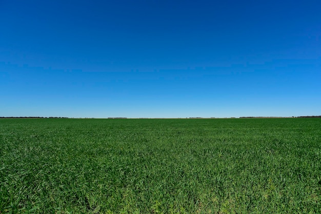 Giornata diafana paesaggio blu e verde