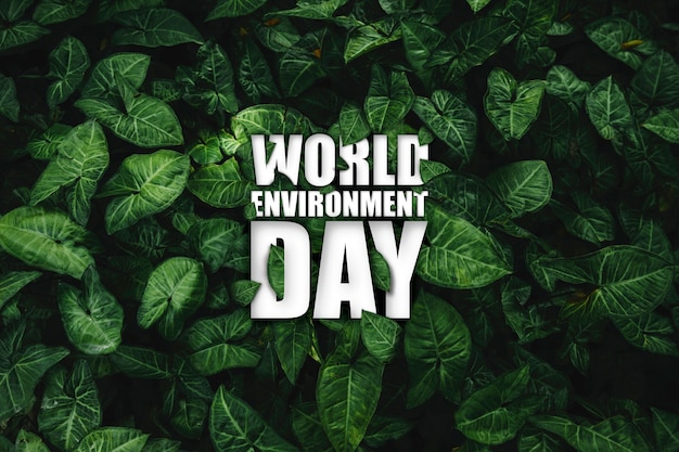 Giornata mondiale dell'ambiente collage deisgn