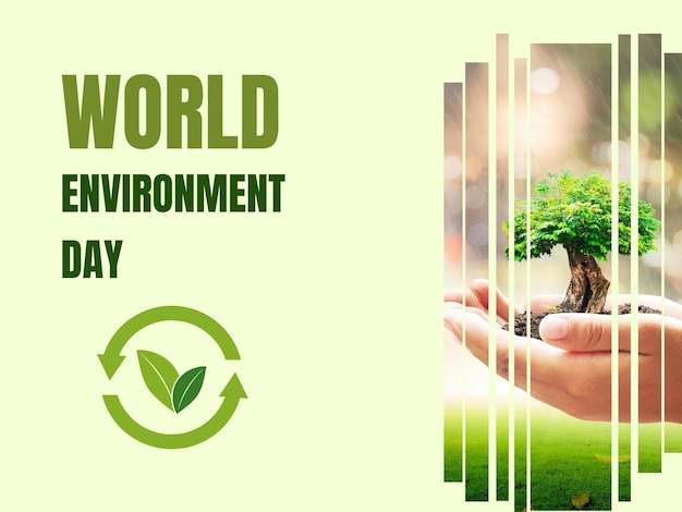 Giornata mondiale dell'ambiente