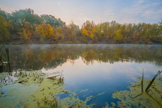 Giornata nebbiosa autunnale su un fiume Bellissimo posto