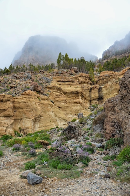 Giornata nuvolosa nel Parco Nazionale del Teide Tenerife Isole Canarie Spagna