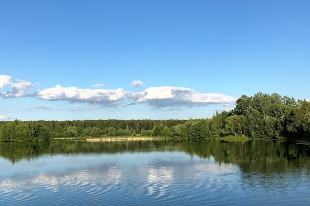 Giorno d'estate su un lago della foresta