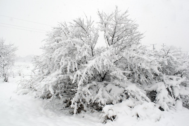 Giorno d&#39;inverno