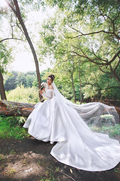 Giorno del matrimonio. Giovane bella sposa con acconciatura e trucco in posa in abito bianco e velo.