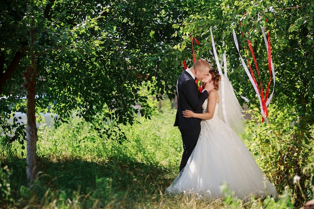 giorno del matrimonio. sposi felici. momento romantico del matrimonio. sposa e sposo che si baciano in natura in estate