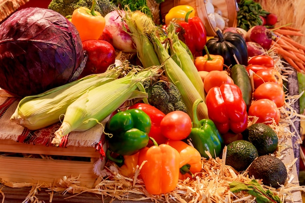 Giorno del ringraziamento Vassoio con zucca e diverse verdure mature all&#39;interno