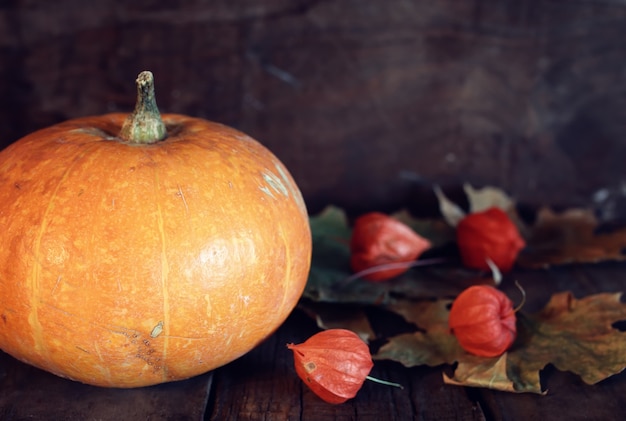 Giorno del Ringraziamento zucca e candele