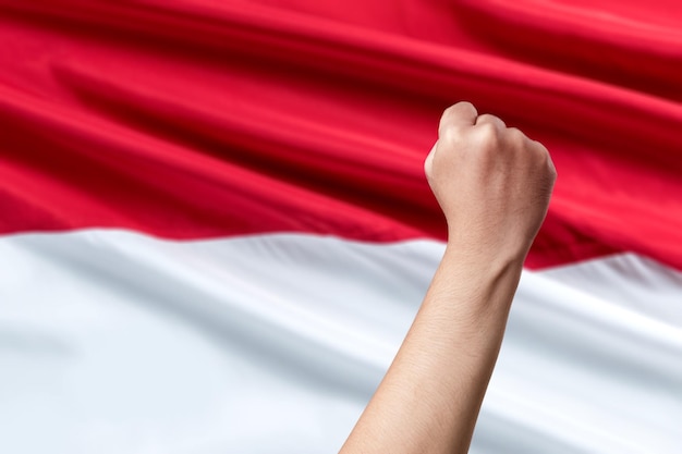 Giorno dell&#39;indipendenza indonesiana