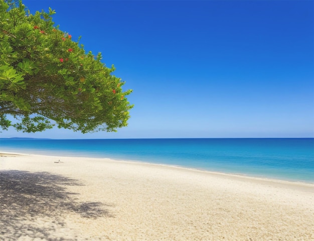 Giorno di sole nel faggio del mare senza persone