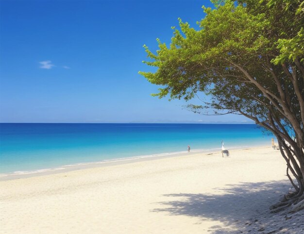 Giorno di sole nel faggio del mare senza persone