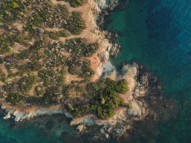 Giorno drone vista sopra la piccola isola con vegetazione verde e costa rocciosa