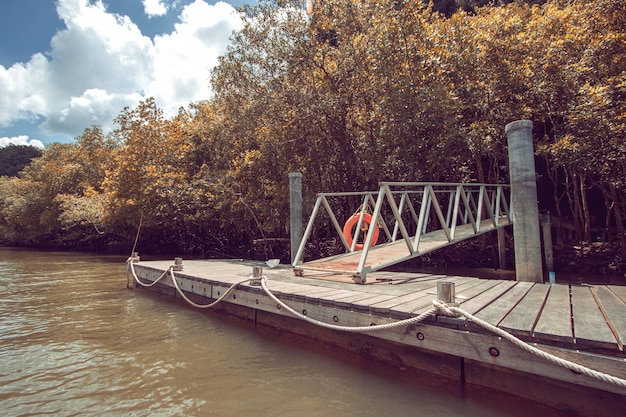 Giorno luminoso con un piccolo molo nel canale del parco nazionale. Viaggia con la natura nelle foreste tropicali in Thailandia.