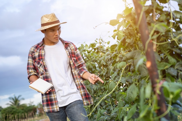 Giovane agricoltore asiatico che controlla la sua pianta o verdura