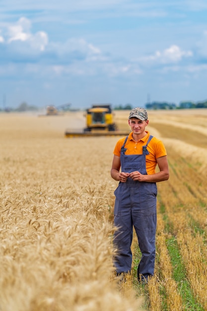 Giovane agricoltore attraente in piedi nel campo di grano. Mietitrebbiatrice che lavora nel campo di grano in background.
