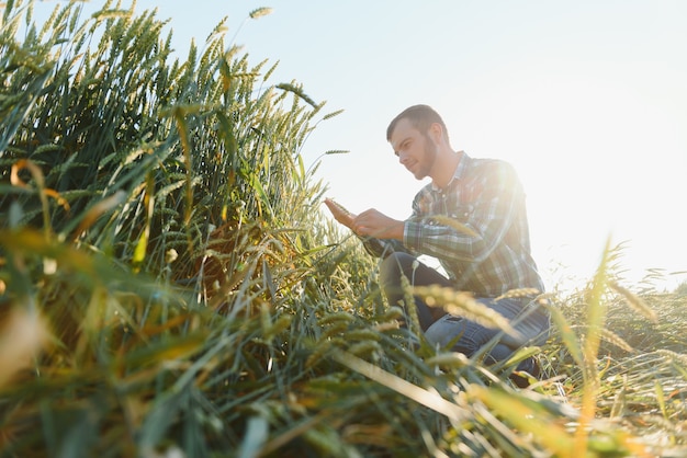 Giovane agricoltore in un campo di grano prima del raccolto.