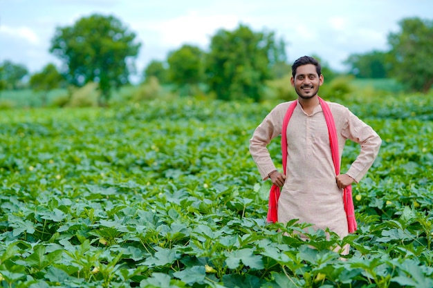 Giovane agricoltore indiano al campo di agricoltura verde.