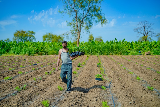 Giovane agricoltore indiano al giacimento della banana