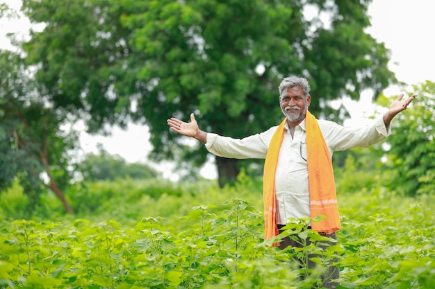 giovane agricoltore indiano al giacimento di cotone, India