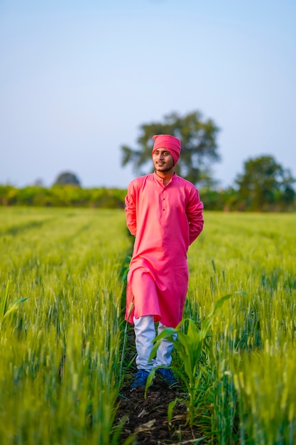 Giovane agricoltore indiano che cammina al campo di grano verde