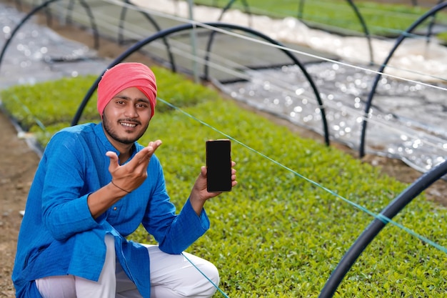 Giovane agricoltore indiano che mostra smart phone in poli casa o serra