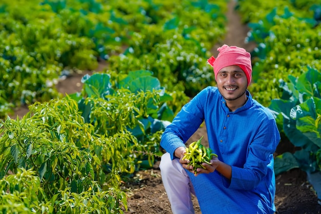 Giovane agricoltore indiano che tiene freddo verde in mano al campo agricolo