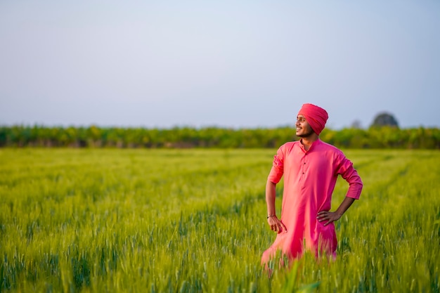 Giovane agricoltore indiano in piedi al campo di grano verde