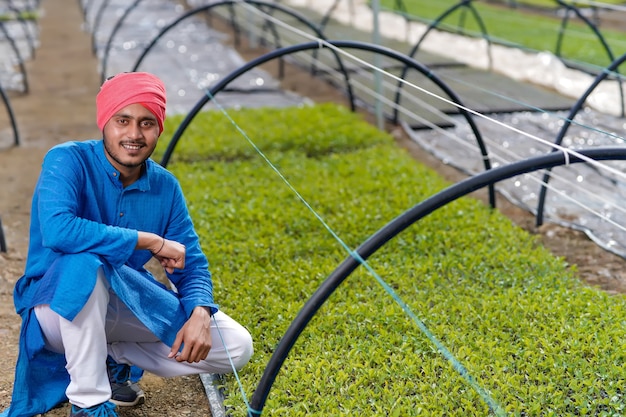 Giovane agricoltore indiano in serra o poli casa