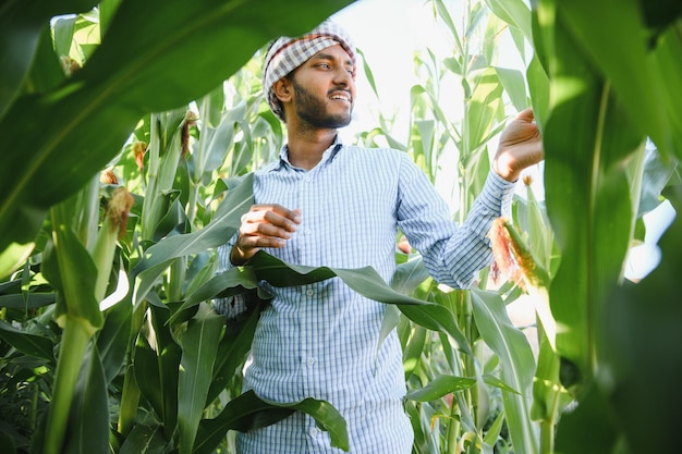 giovane agricoltore indiano o agronomo al campo di mais Il concetto di agricoltura