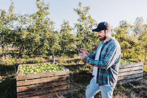 Giovane agricoltore latino che usa il suo telefono accanto alla piantagione di mele Concetto agricolo Nomade digitale