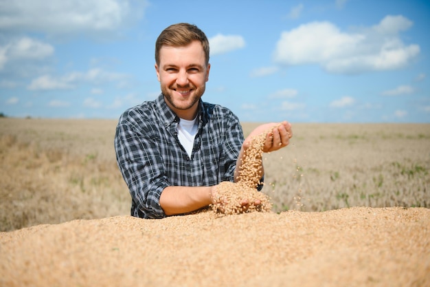 Giovane agricoltore nel campo di grano durante il raccolto in estate