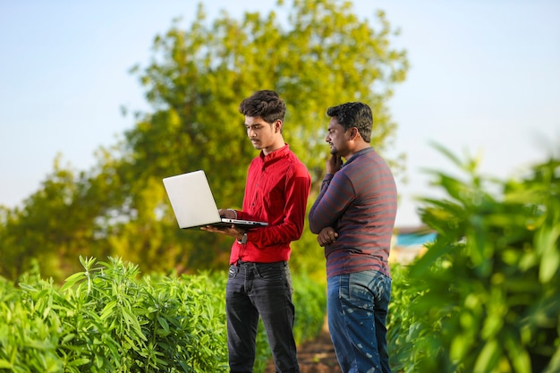 Giovane agronomo analizzando il campo con l'agricoltore, agricoltura indiana