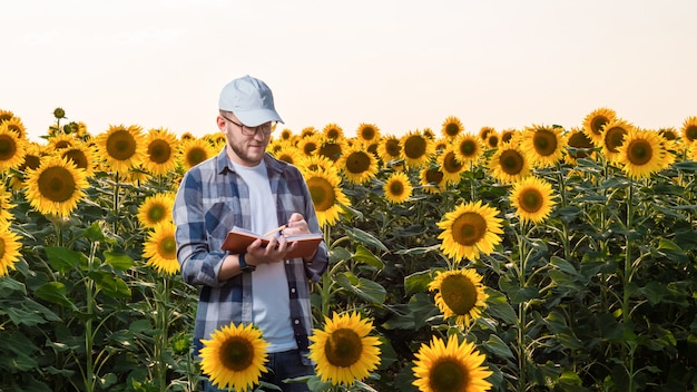 Giovane agronomo che lavora nel campo di girasole