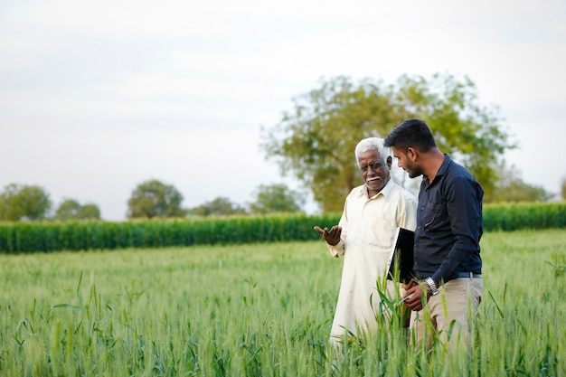 Giovane agronomo indiano con agricoltore al campo