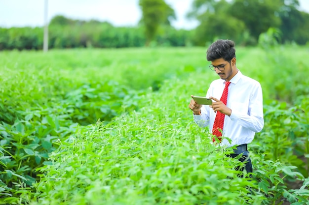 Giovane agronomo indiano con lo smartphone al campo