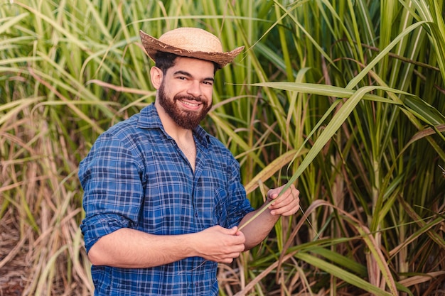 Giovane agronomo lavoratore agricolo che indossa un cappello di paglia che si mescola nella pianta con una piantagione di canna da zucchero sullo sfondo