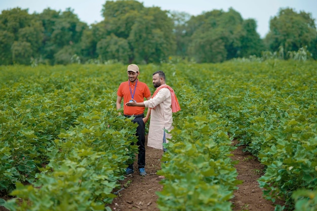 Giovane agronomo o banchiere indiano che mostra alcune informazioni all'agricoltore in smartphone nel campo agricolo.