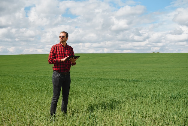 Giovane agronomo tiene tablet touch pad computer nel campo di grano verde. Concetto di agroalimentare