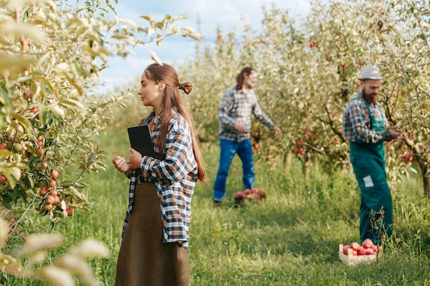 Giovane azienda agricola di famiglia tre agricoltori nel giardino raccolgono ragazze con un tablet in loro